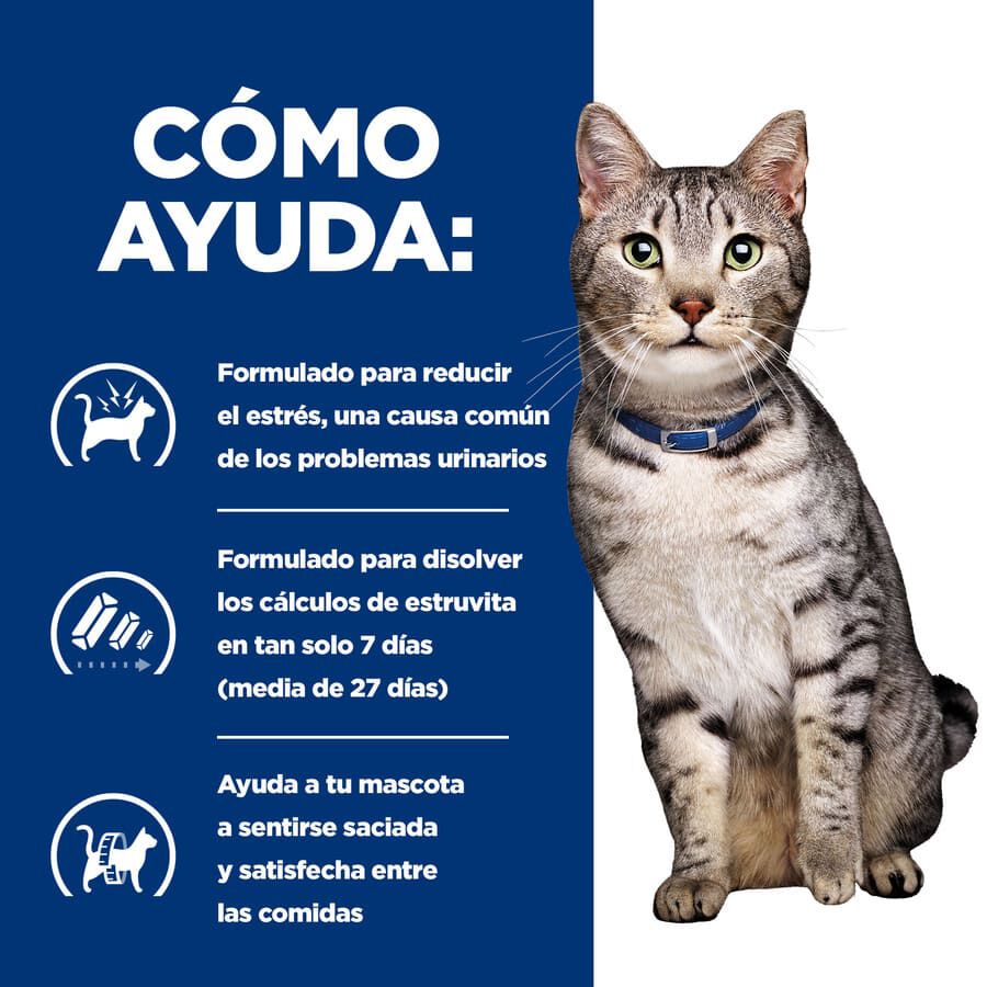 12 sobres x 85 g Hill's Prescription Diet Urinary Stress + Metabolic Pollo sobre para gatos, , large Imagen numero 4